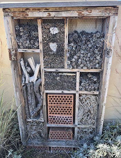 Roger Hunt Travel Agent / Advisor Pictures